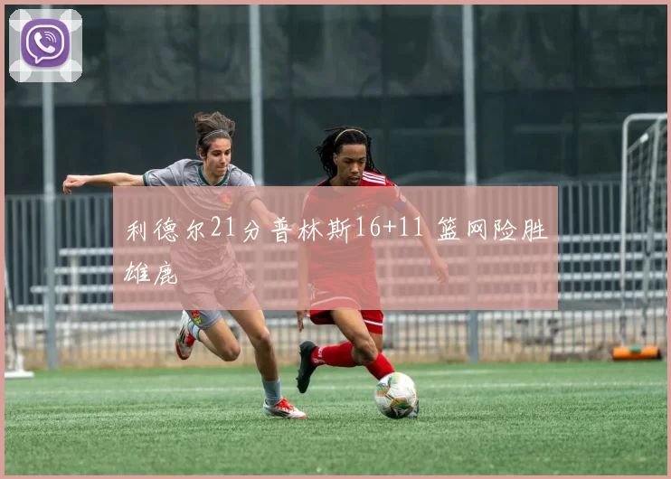 利德尔21分普林斯16+11 篮网险胜雄鹿