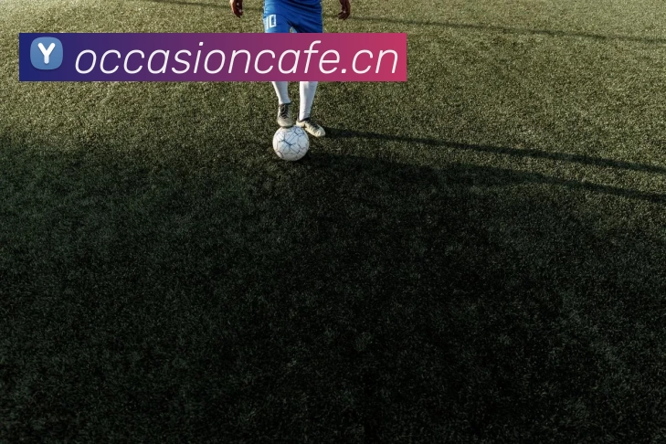 App Interface Preview